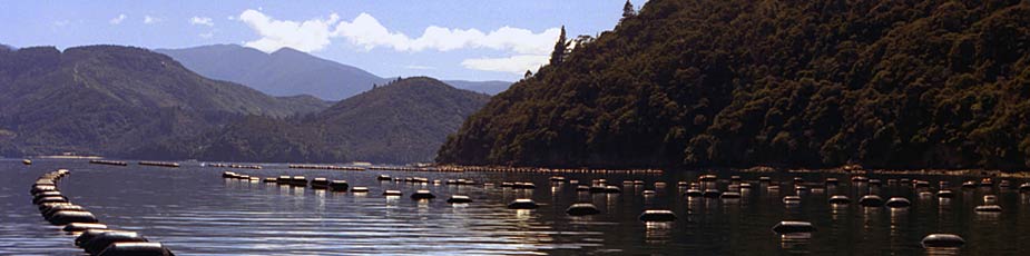 Aquaculture New Zealand