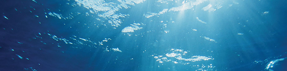 Aquaculture New Zealand